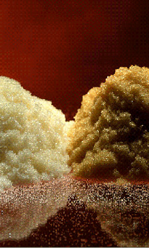 Resinas de Troca Iônica para Deionizadores Resinas de Troca Iônica para Deionizadores