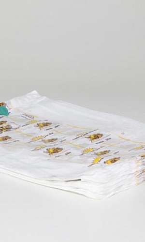 Saco blocado leitoso Saco blocado leitoso